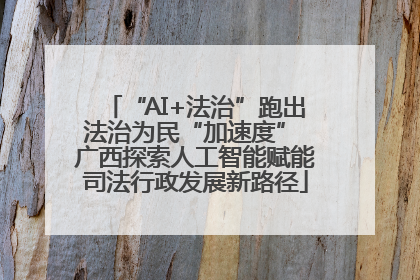 “AI+法治”跑出法治为民“加速度” 广西探索人工智能赋能司法行政发展新路径