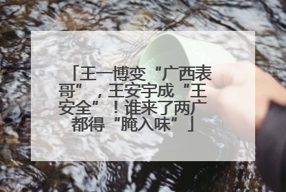 王一博变“广西表哥”，王安宇成“王安全”！谁来了两广都得“腌入味”