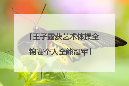 王子露获艺术体操全锦赛个人全能冠军