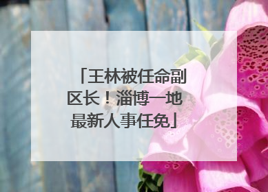 王林被任命副区长！淄博一地最新人事任免