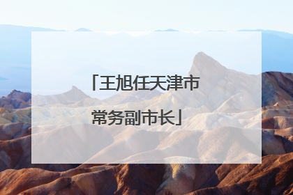 王旭任天津市常务副市长