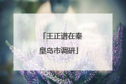 王正谱在秦皇岛市调研