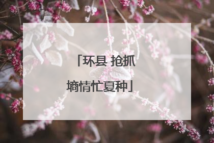 环县 抢抓墒情忙夏种