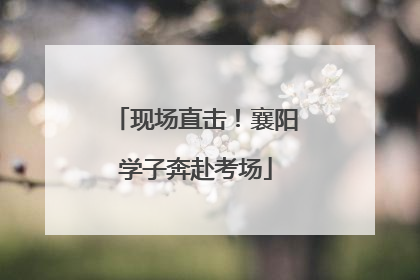 现场直击！襄阳学子奔赴考场