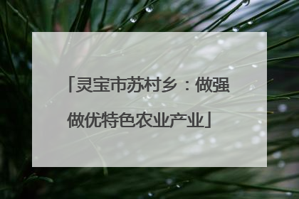 灵宝市苏村乡：做强做优特色农业产业