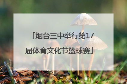 烟台三中举行第17届体育文化节篮球赛