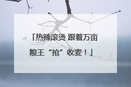 热辣滚烫 跟着万亩粮王“抢”收麦！