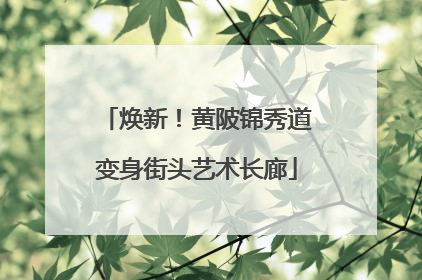 焕新！黄陂锦秀道变身街头艺术长廊