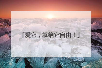 爱它，就给它自由！
