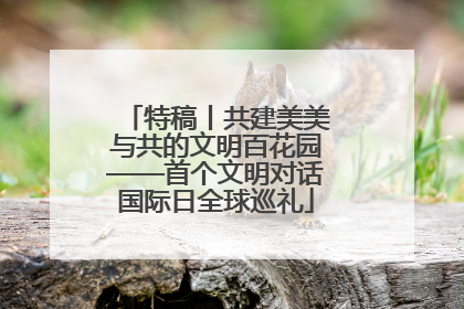 特稿丨共建美美与共的文明百花园——首个文明对话国际日全球巡礼