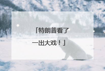 特朗普看了一出大戏！