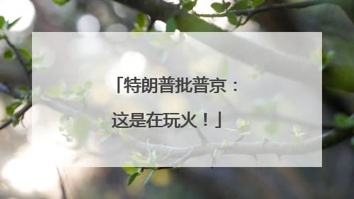 特朗普批普京：这是在玩火！