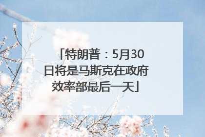 特朗普：5月30日将是马斯克在政府效率部最后一天