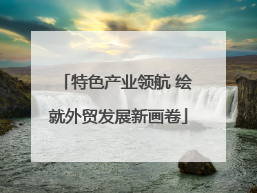 特色产业领航 绘就外贸发展新画卷