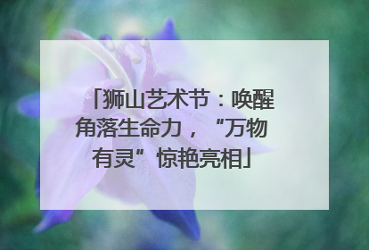 狮山艺术节：唤醒角落生命力，“万物有灵”惊艳亮相