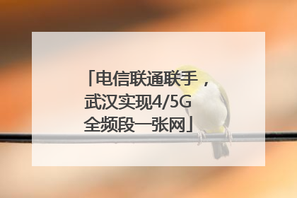电信联通联手，武汉实现4/5G全频段一张网