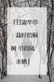 甘肃华亭：栽好梧桐树 引得凤来栖