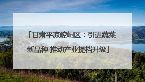 甘肃平凉崆峒区：引进蔬菜新品种 推动产业提档升级