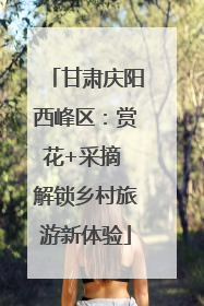 甘肃庆阳西峰区：赏花+采摘 解锁乡村旅游新体验