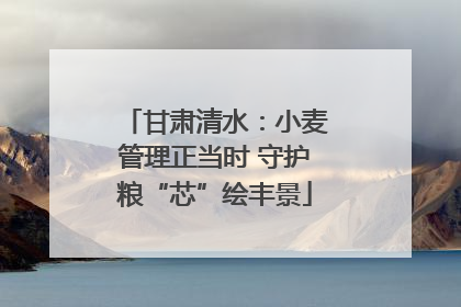 甘肃清水：小麦管理正当时 守护粮“芯”绘丰景