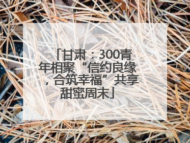 甘肃：300青年相聚“信约良缘，合筑幸福”共享甜蜜周末