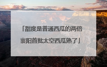 甜度是普通西瓜的两倍 襄阳首批太空西瓜熟了