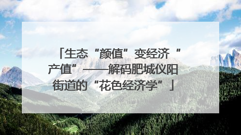 生态“颜值”变经济“产值”——解码肥城仪阳街道的“花色经济学”