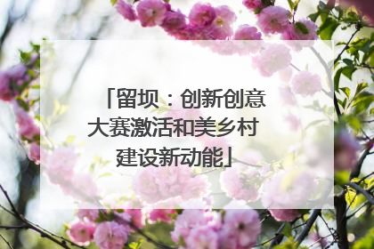 留坝：创新创意大赛激活和美乡村建设新动能