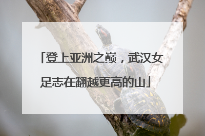 登上亚洲之巅，武汉女足志在翻越更高的山
