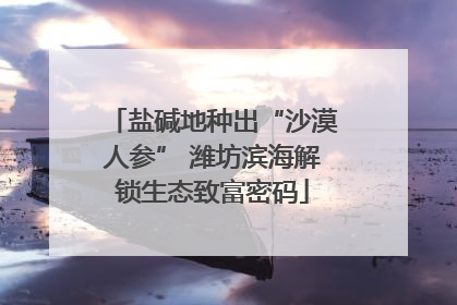 盐碱地种出“沙漠人参” 潍坊滨海解锁生态致富密码