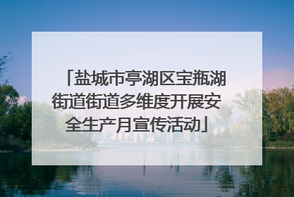 盐城市亭湖区宝瓶湖街道街道多维度开展安全生产月宣传活动
