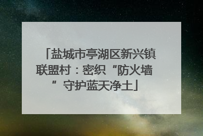 盐城市亭湖区新兴镇联盟村：密织“防火墙”守护蓝天净土