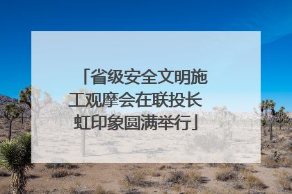 省级安全文明施工观摩会在联投长虹印象圆满举行
