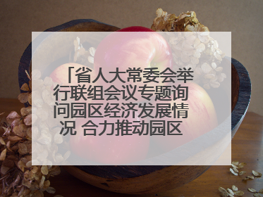 省人大常委会举行联组会议专题询问园区经济发展情况 合力推动园区经济高质量发展 王宁主持会议并讲话 王予波带队到会应询