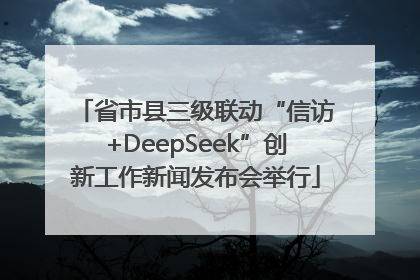 省市县三级联动“信访+DeepSeek”创新工作新闻发布会举行
