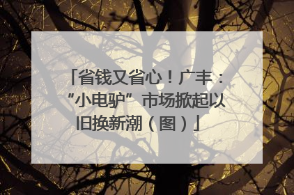 省钱又省心！广丰：“小电驴”市场掀起以旧换新潮（图）