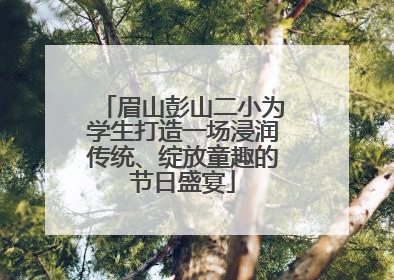 眉山彭山二小为学生打造一场浸润传统、绽放童趣的节日盛宴