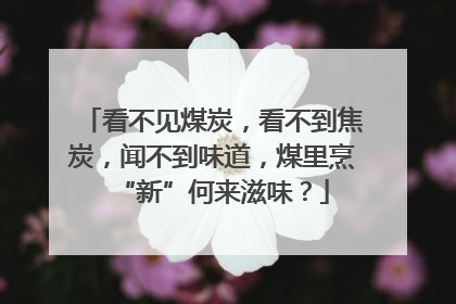 看不见煤炭，看不到焦炭，闻不到味道，煤里烹“新”何来滋味？