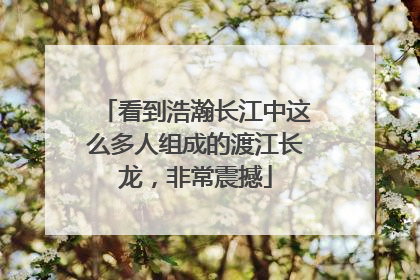 看到浩瀚长江中这么多人组成的渡江长龙，非常震撼