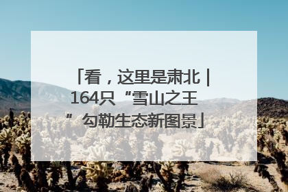 看，这里是肃北｜164只“雪山之王”勾勒生态新图景
