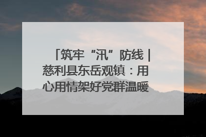筑牢“汛”防线｜慈利县东岳观镇：用心用情架好党群温暖悠长的“连心桥”