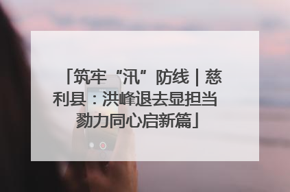 筑牢“汛”防线｜慈利县：洪峰退去显担当 勠力同心启新篇