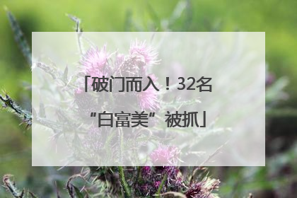 破门而入！32名“白富美”被抓