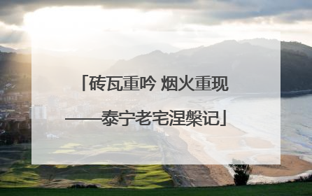 砖瓦重吟 烟火重现——泰宁老宅涅槃记
