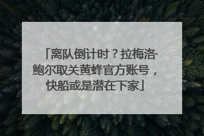 离队倒计时？拉梅洛·鲍尔取关黄蜂官方账号，快船或是潜在下家