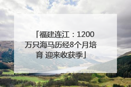 福建连江：1200万只海马历经8个月培育 迎来收获季