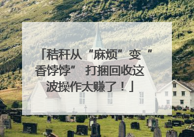 秸秆从“麻烦”变“香饽饽” 打捆回收这波操作太赚了！