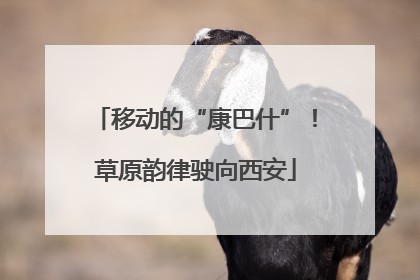 移动的“康巴什”！草原韵律驶向西安