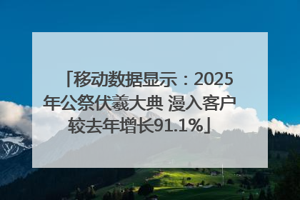 移动数据显示：2025年公祭伏羲大典 漫入客户较去年增长91.1%