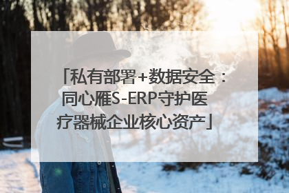 私有部署+数据安全：同心雁S-ERP守护医疗器械企业核心资产